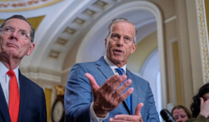 What RINOs Did In The Senate Sparks More Outrage