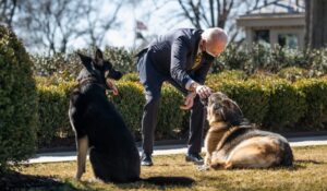 Report Gives More Details On Biden’s Dog
